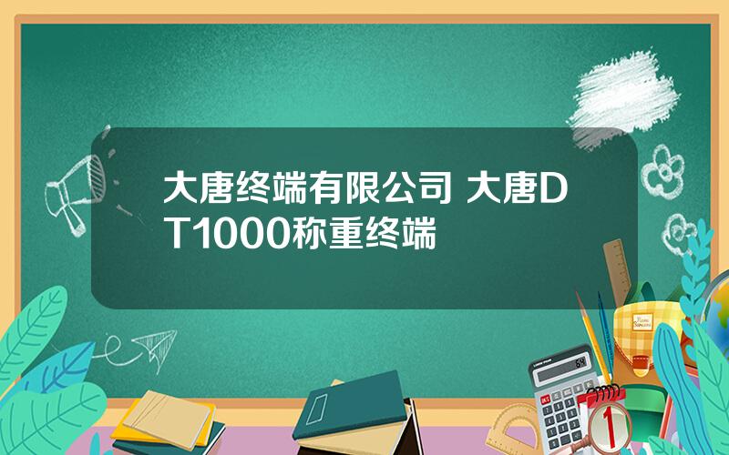 大唐终端有限公司 大唐DT1000称重终端